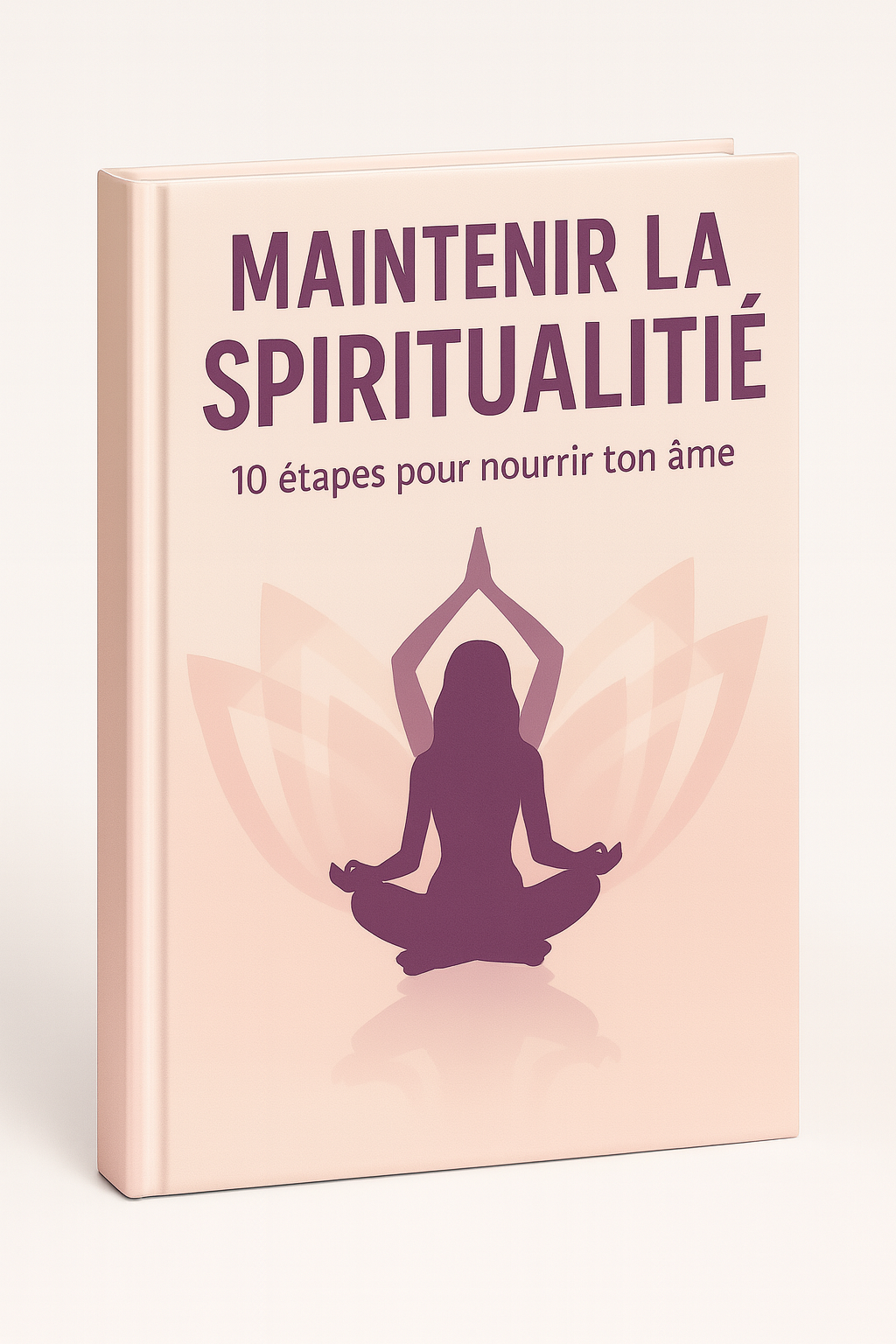 Livre 3D – Maintenir la Spiritualité